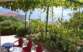 Petar Apartment
